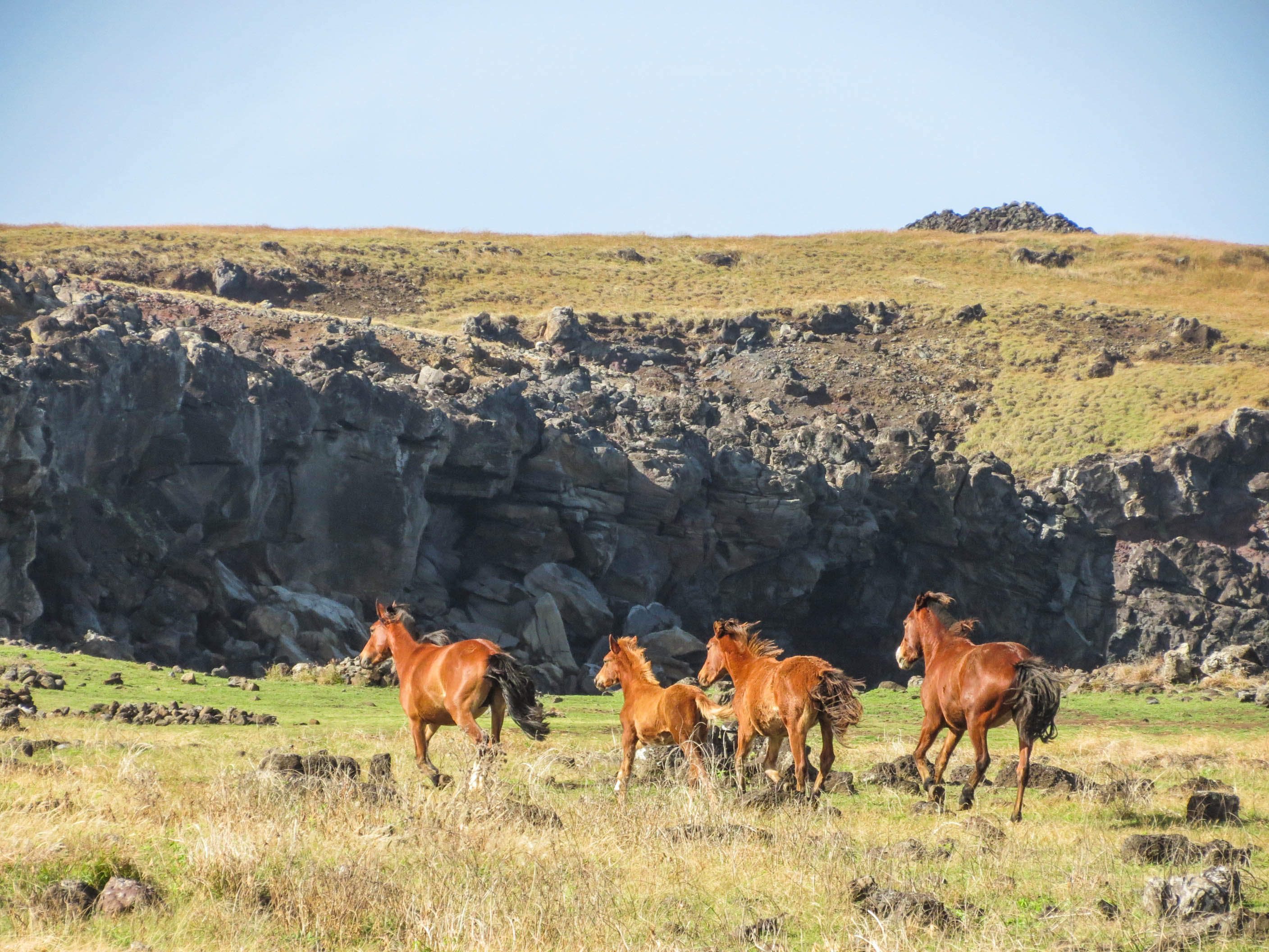 tours and travel in chile, Easter Island - 2