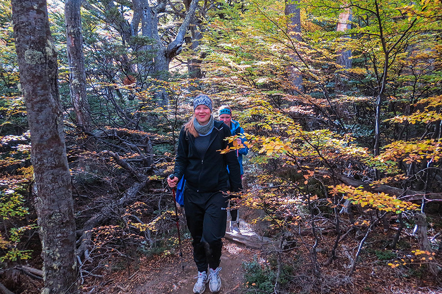 tours and travel in chile, Torres del Paine - 3