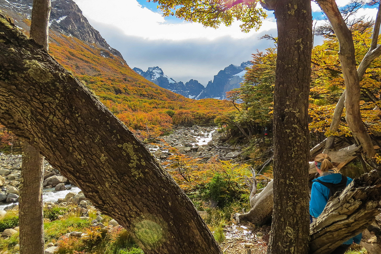 tours and travel in chile, Torres del Paine - 9