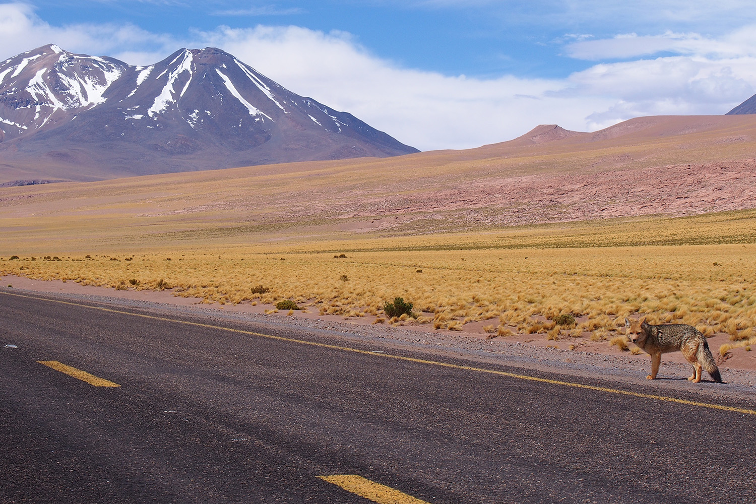 tours and travel in chile, San Pedro de Atacama - 22