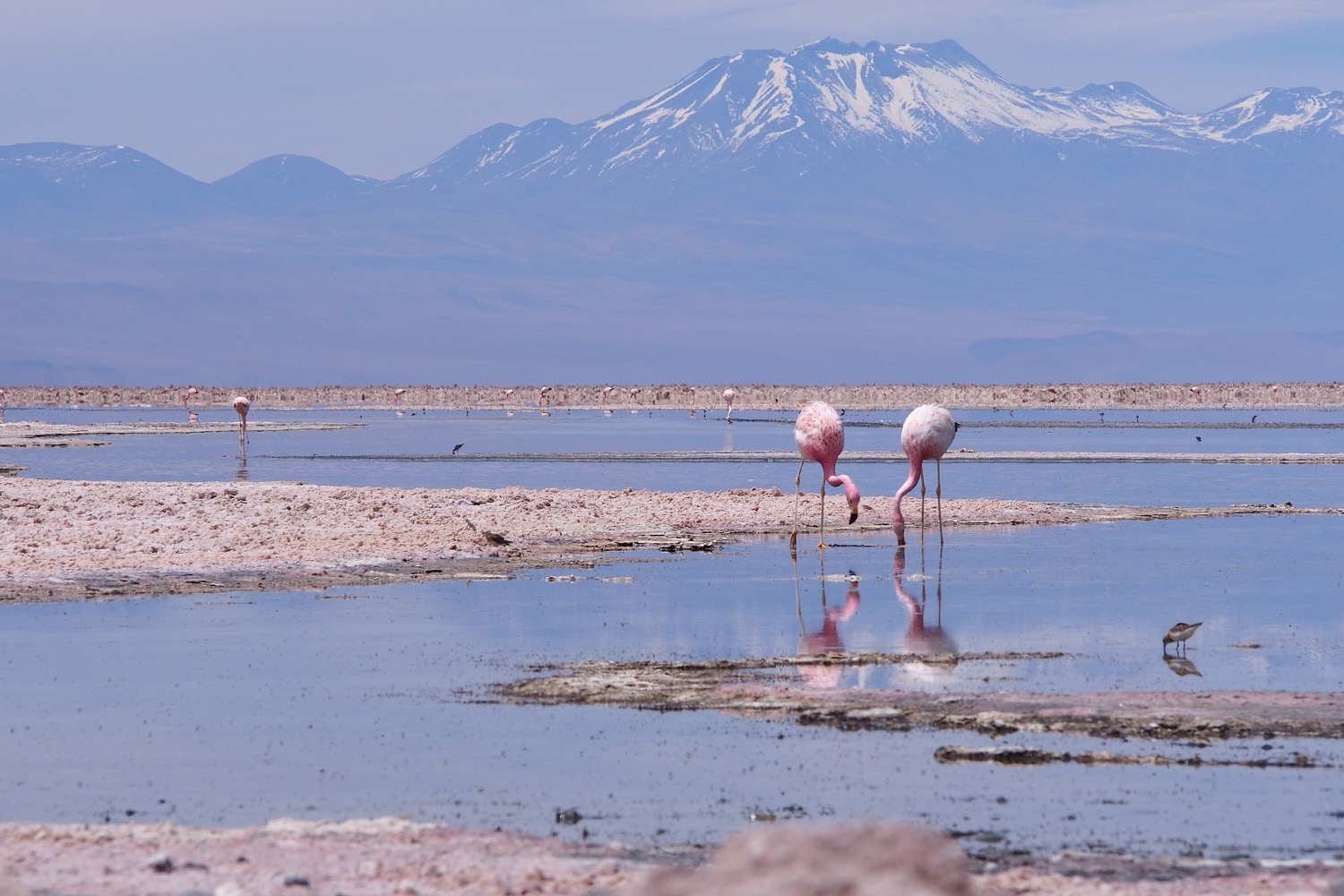 tours and travel in chile, San Pedro de Atacama - 23