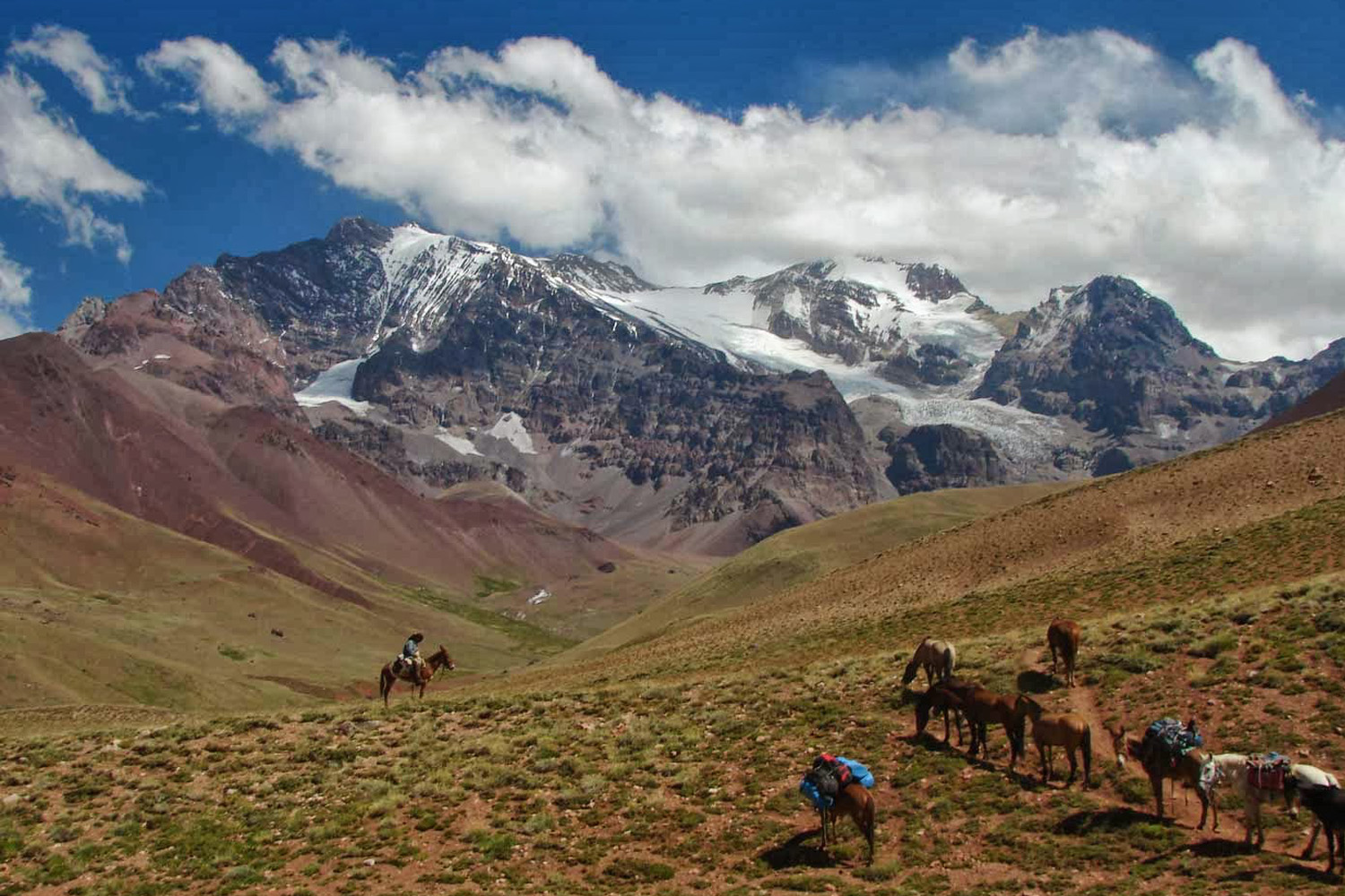 tours and travel in chile, Mendoza - 1