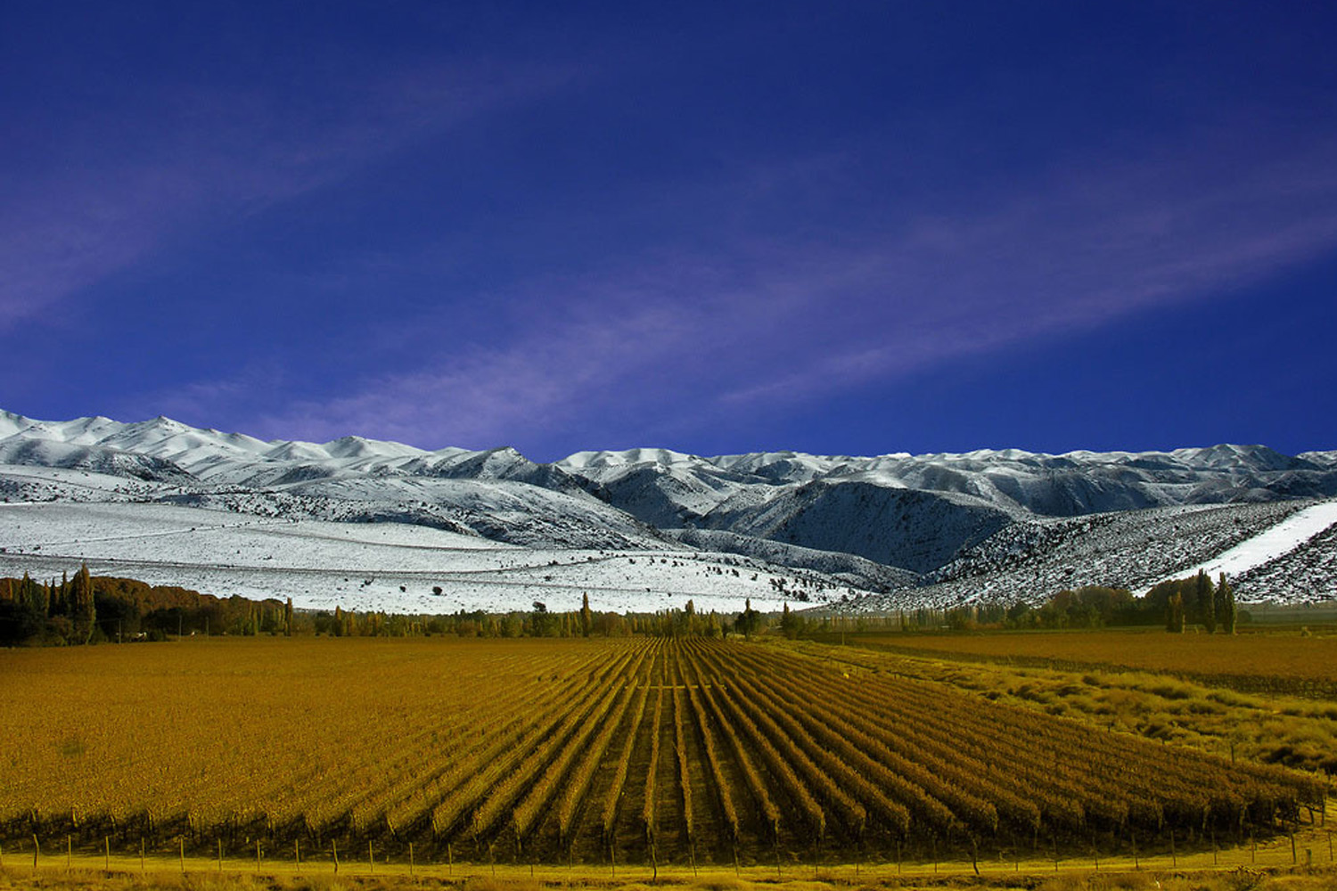 tours and travel in chile, Mendoza - 2