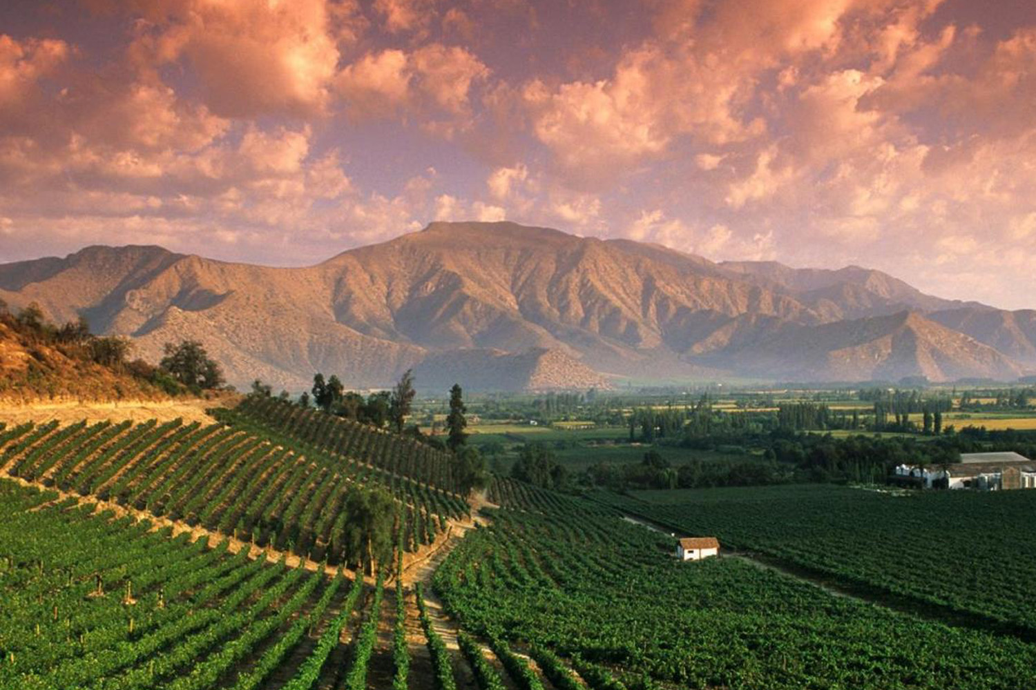 tours and travel in chile, Mendoza - 3