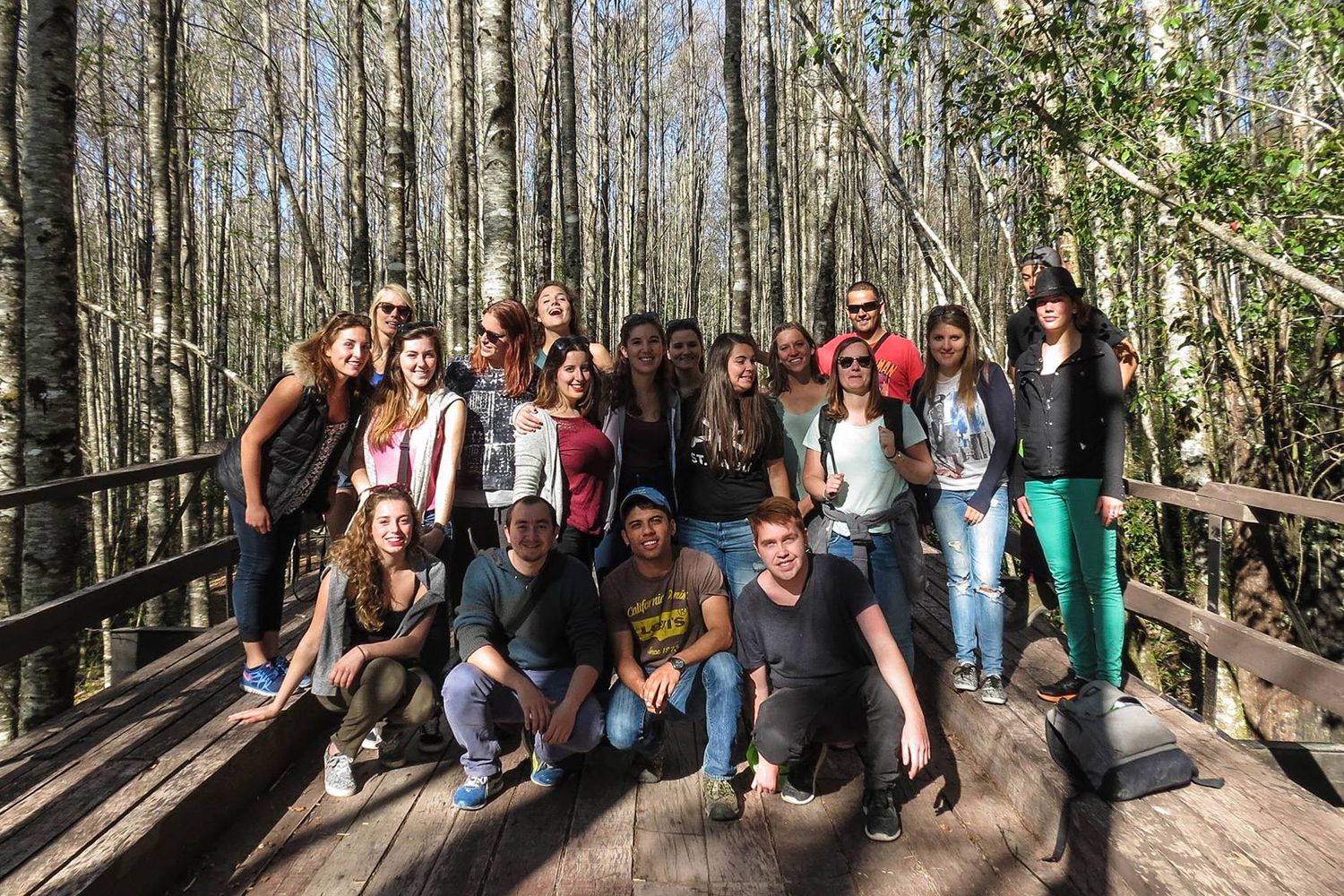 tours and travel in chile, Panguipulli - 1