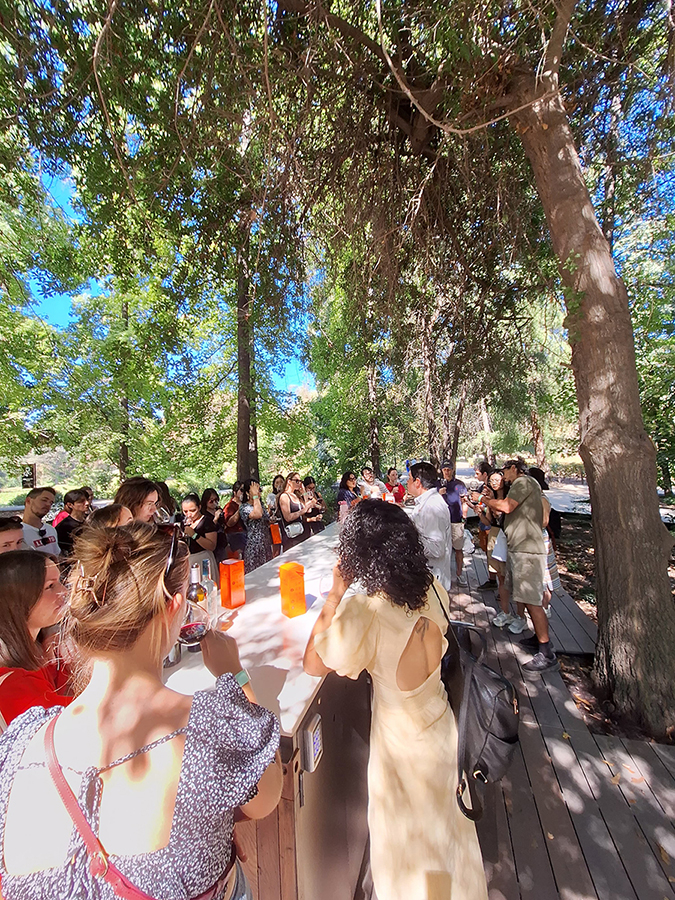 tours and travel in chile, Viña Concha y Toro - 0