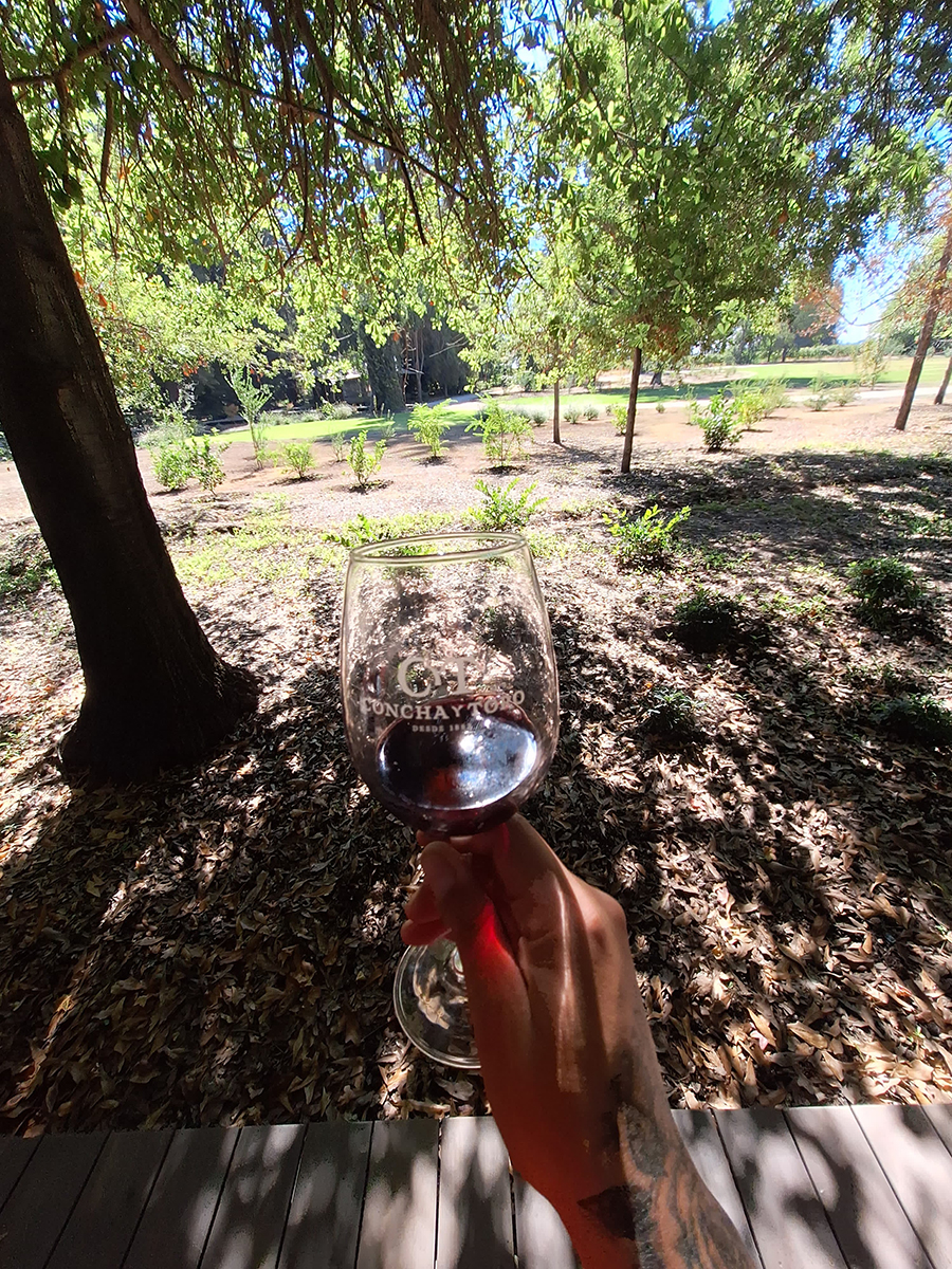 tours and travel in chile, Viña Concha y Toro - 2