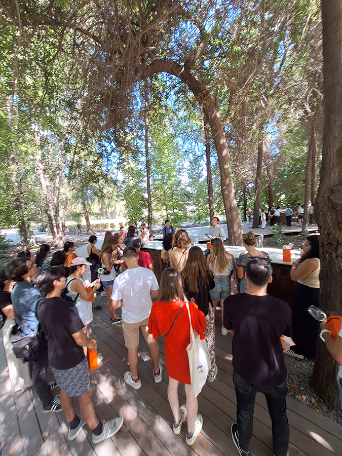 tours and travel in chile, Viña Concha y Toro - 3